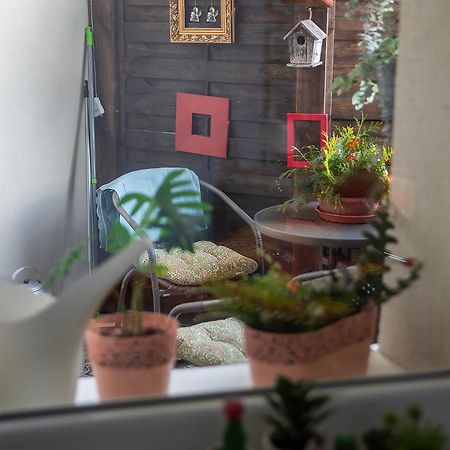 Apartament U Olechny 4 比得哥什 外观 照片