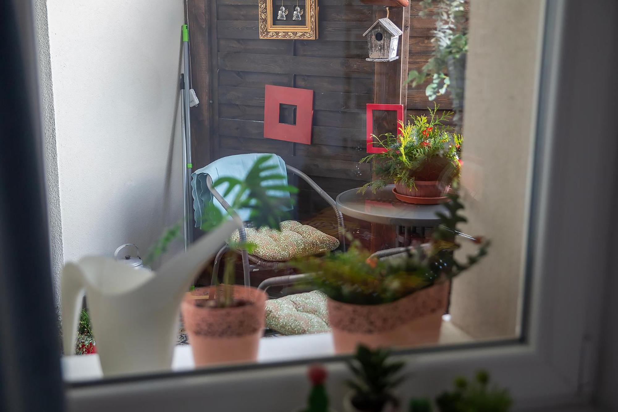 Apartament U Olechny 4 比得哥什 外观 照片